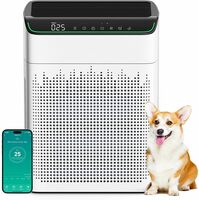 Air Purifier for Large Rooms with WiFi & Alexa