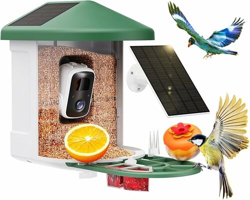 Smart Bird House with Cam