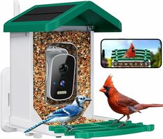 Bird House with Camera for Garden