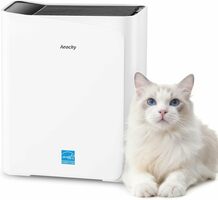 Smart, Powerful & Pet-Friendly Air Purifier