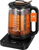 Electric Kettle with Precise Temperature Control