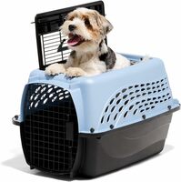 Two-Door Pet Kennel - Secure Top & Front Loading Carrier