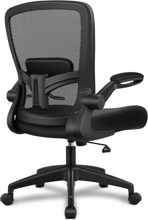 Ergonomic Mesh Office Chair with Lumbar Support
