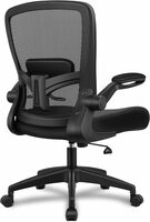 Ergonomic Mesh Office Chair with Lumbar Support