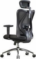 Office Chair with Adjustable Headrest & Lumbar Support