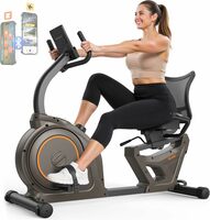 Low-Impact Smart Recumbent Exercise Bike