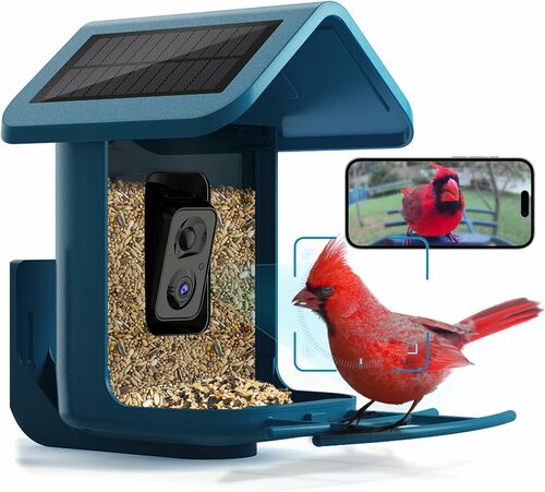 Smart Bird Feeder with 2K Camera & Solar Power