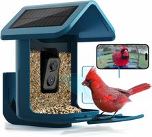 Smart Bird Feeder with 2K Camera & Solar Power