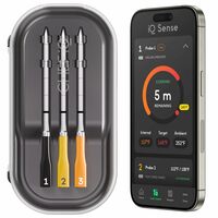 Smart WiFi Meat Thermometer - High Heat Rating