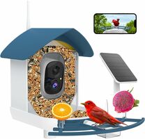 AI Smart Bird Feeder with Camera & Solar 