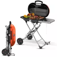 15000 BTU Folding Portable Propane Grill