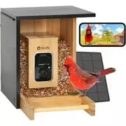 Smart Solar Bird Feeder - AI Recognition