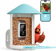Smart AI Camera Bird Feeder with Live Streaming