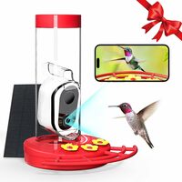 Camera Hummingbird Feeder with AI Bird Identification