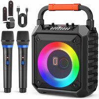 Karaoke Speaker System with 2 Microphones
