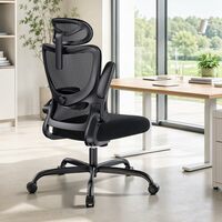 Mesh Office Chair with 3D Armrests & Adjustable Lumbar