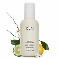 Leave-In Conditioner with Heat Protection & Detangling