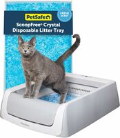 Self-Cleaning Crystal Litter Box with Health Counter