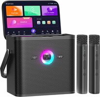 Portable Karaoke Machine with Autotune EQ