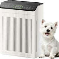 Large Room HEPA Air Purifier with Aromatherapy