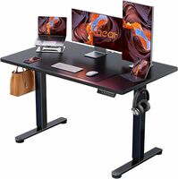 48" Electric Height Adjustable Standing Desk