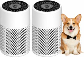 True HEPA Air Purifiers for Smoke & Pet Dander