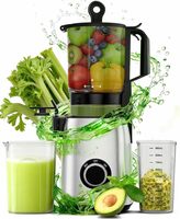 Stainless Steel Slow Masticating Juicer